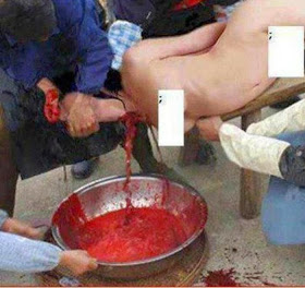 Islamists killing a woman by slitting her throat and capturing her blood in a bowl,